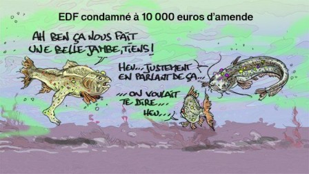 EDF_condamnee_a_10000_euros_d__amende.jpg